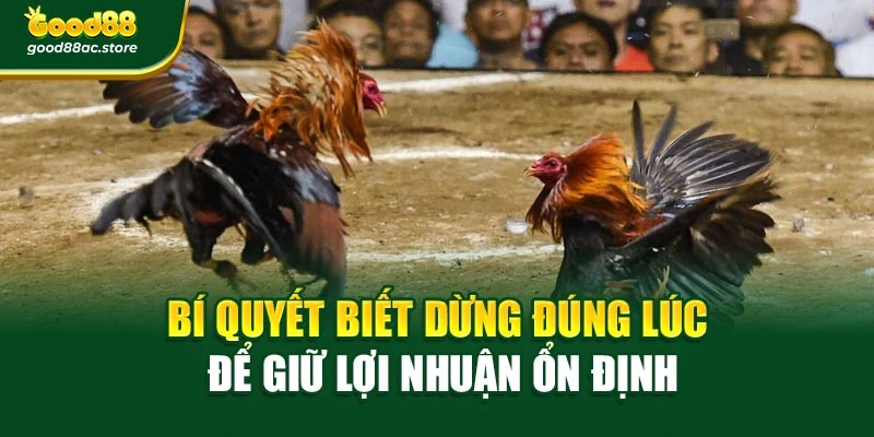 Bí quyết biết dừng đúng lúc để giữ lợi nhuận ổn định