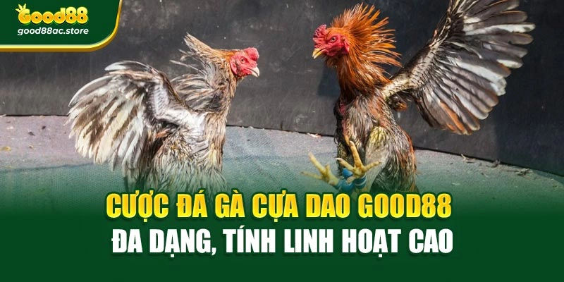 Cược đá gà cựa dao Good88 đa dạng, tính linh hoạt cao