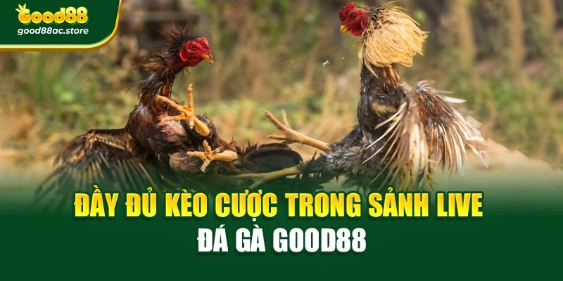Đầy đủ kèo cược trong sảnh Live đá gà Good88