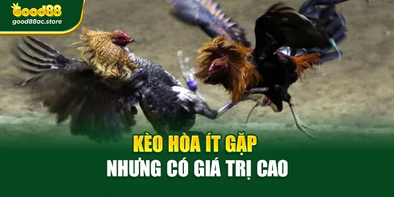 Kèo hòa ít gặp nhưng có giá trị cao
